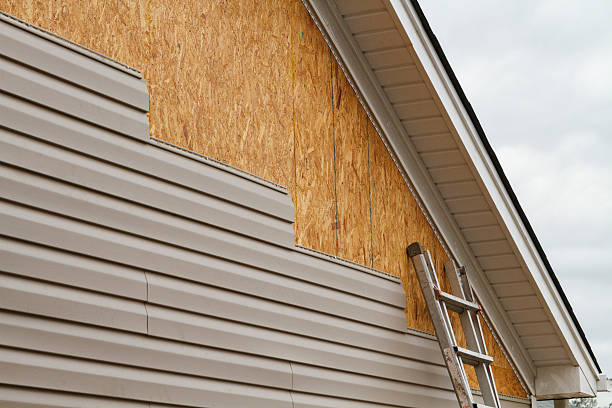 Professional Siding Repair technician working in Annandale, MN